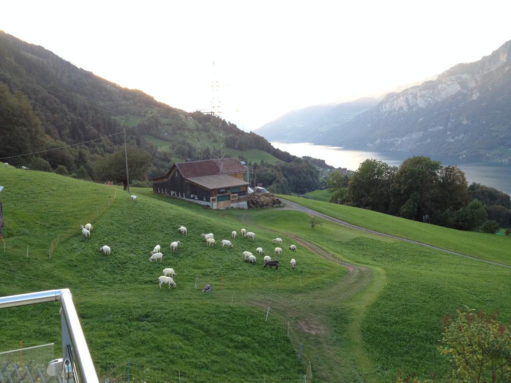 Bijouswiss " Yellow House" Oberterzen Екстер'єр фото
